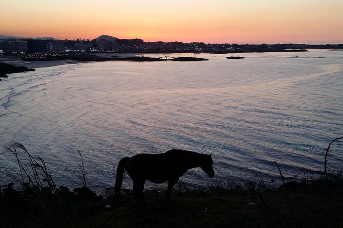 Jeju island: Van tour with a guide who the most loves JEJU - FAQ