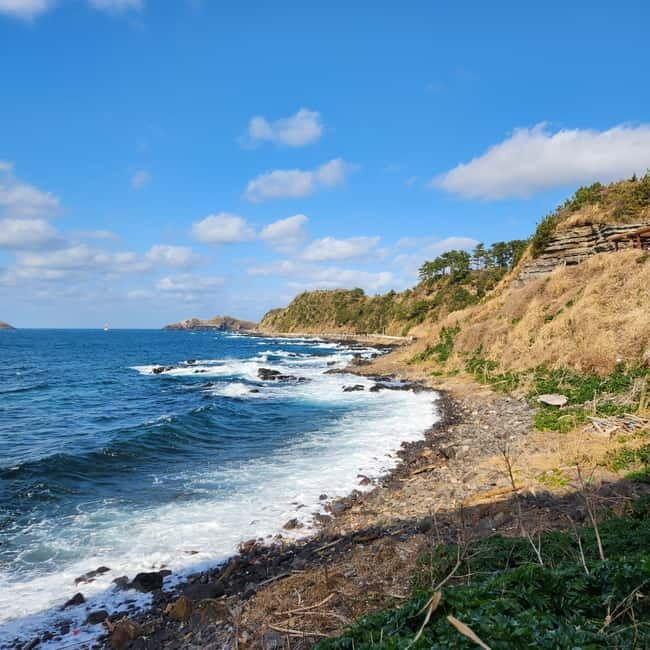 Jeju: Popular Sightseeing Private Car Charter Tour - Why Choose a Private Car Tour in Jeju?