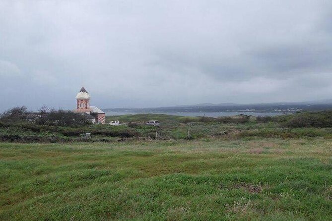 Jeju Private Full day tour of UNESCO Day Tour - What the Experience Feels Like