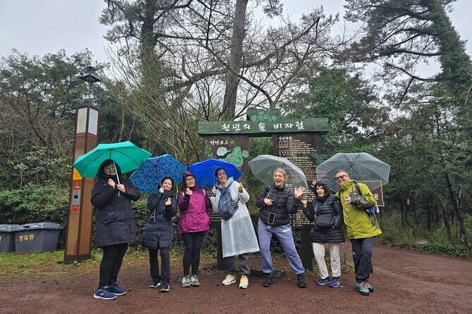 Jeju Private Half-Day Tour for Cruise Customers - Key Points