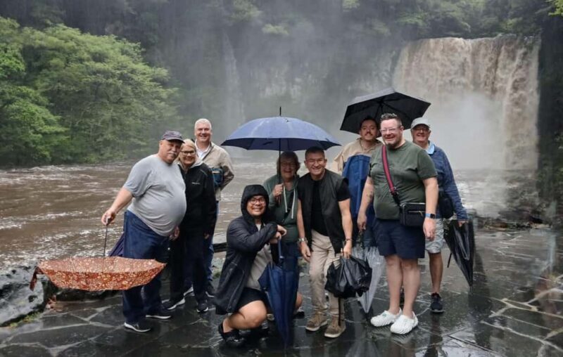 Jeju Private Taxi Tour with a Licenced English Guide-Driver - An In-Depth Look at the Tour