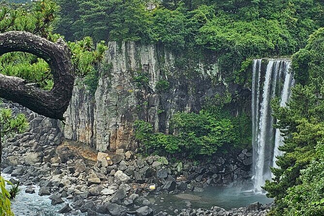 Jeju Private Tour Package-South of Jeju(Mt.Hallasan & Waterfalls) - Why This Tour Offers Great Value
