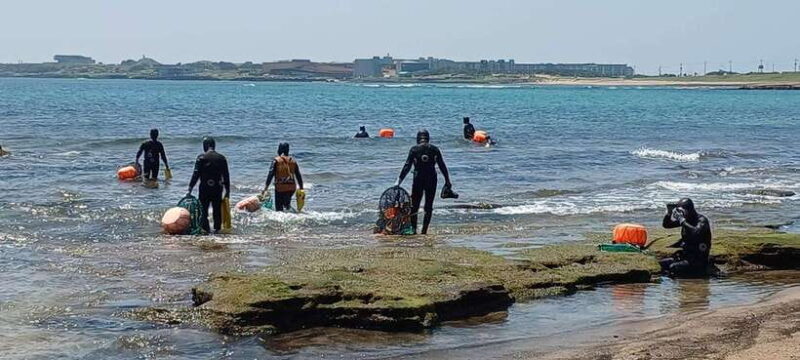 Jeju: Private Tour with an English Guide and a Vehicle - Final Thoughts
