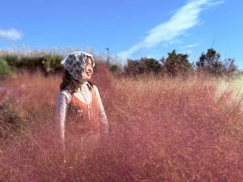 Jeju: Small Group Tour w/Pink Muhly & Tangerine Picking - A Deep Dive into the Tour Experience