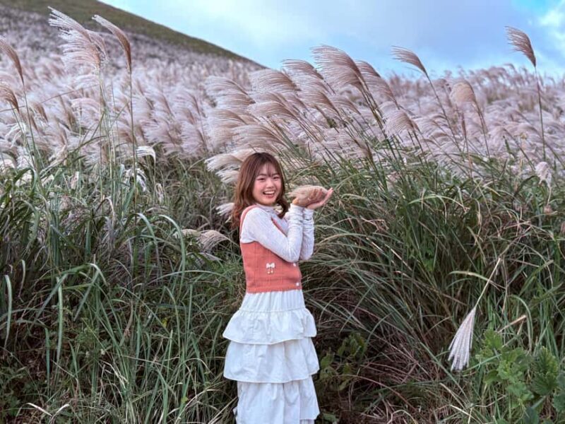 Jeju: Small Group Tour w/Pink Muhly & Tangerine Picking - The Practical Details