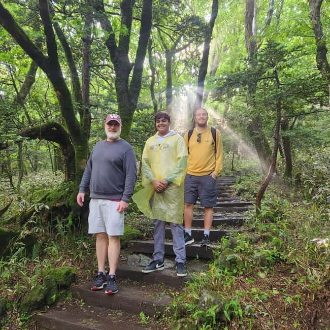Jeju: Southern Top UNESCO Spots Tour - Key Points