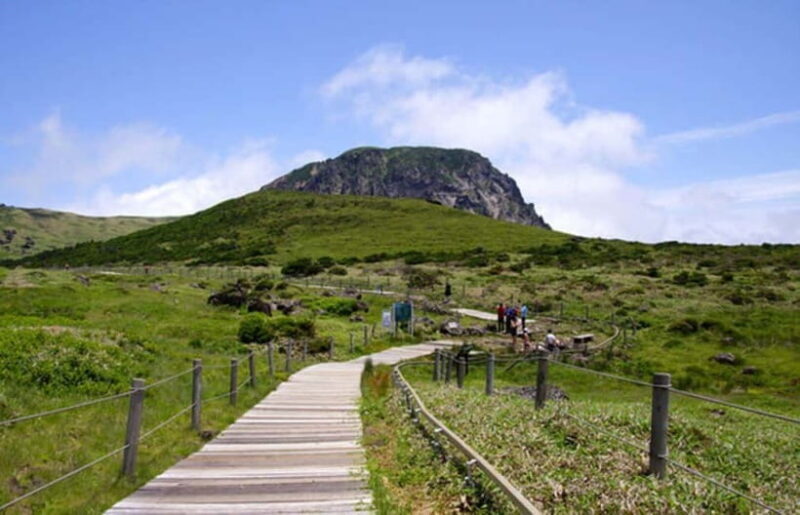 Jeju: UNESCO Day Tour for Cruise Guests - Introduction