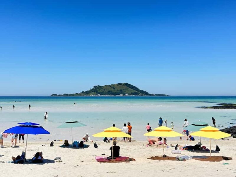 Jeju West: Small Group Healing Tour w/Caves & Dolphins - An Introduction to the Jeju West Tour