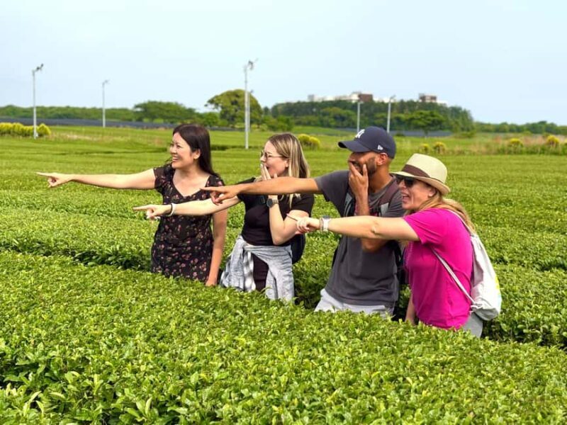 Jeju West: Small Group Healing Tour w/Caves & Dolphins - Who Will Love This Tour?