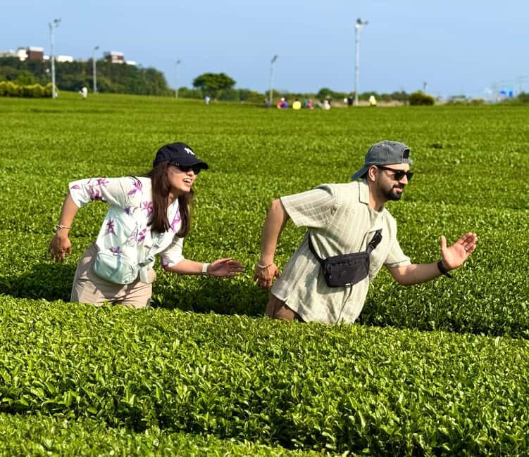 Jeju West: Small Group Healing Tour w/Caves & Dolphins - Final Thoughts