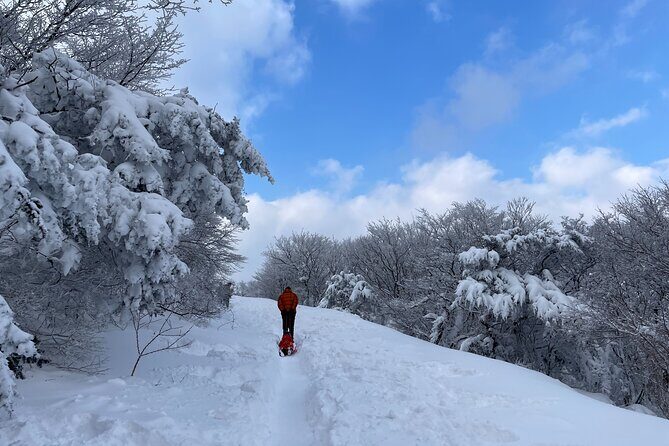 Jeju WEST&SOUTH One Day Tour with MT.halla & UNESCO - FAQ