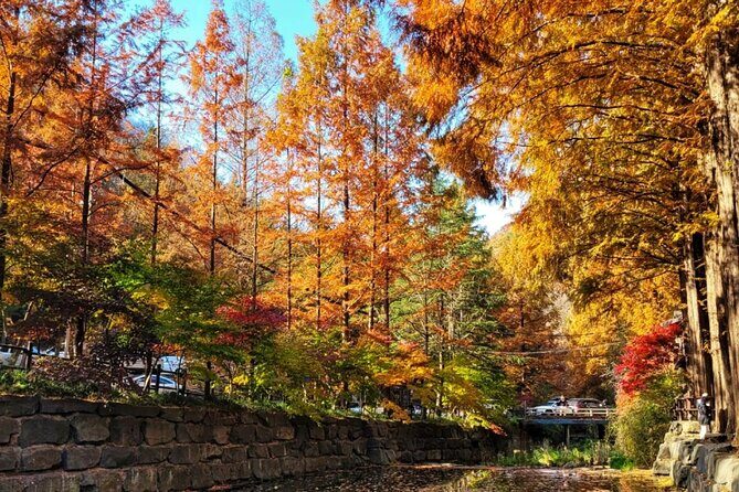 Jeonju Hanok Village and Jangtaesan Nature Tour - Discovering Jeonju Hanok Village and Jangtaesan Nature: An In-Depth Review