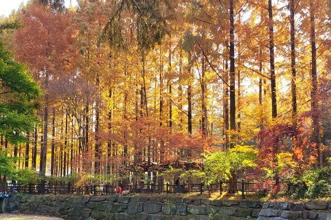 Jeonju Hanok Village and Jangtaesan Nature Tour - FAQ