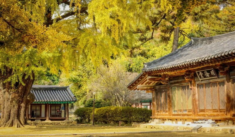 Jeonju Hanok Village Full-Day Tour:Jangtaesan Autumn Foliage - Final Thoughts