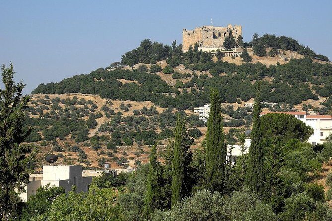 Jerash, Ajloun, Umm Qais Day Trip - Final Thoughts