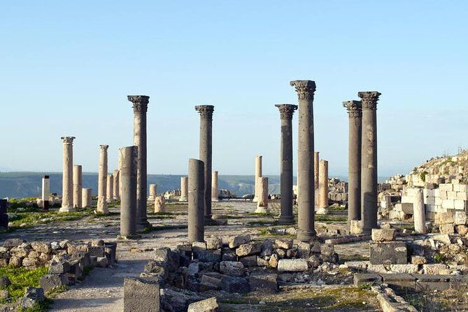Jerash, Ajloun & Umm Qais Private tour - A Deep Dive Into the Itinerary