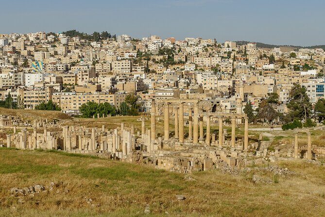 Jerash Half Day tour from Amman - The Sum Up: Who Should Consider This Tour?