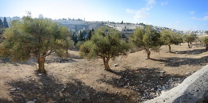 Jerusalem Old City from Tel Aviv - Religious and Cultural Highlights