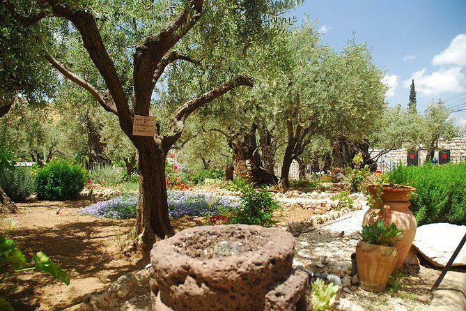 Jerusalem Old City & Mount Zion from Tel Aviv - Guides and Reviews: What Past Travelers Say