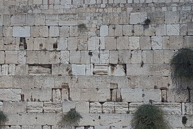 Jerusalem Private Full Day Tour - Final Stops and Reflections