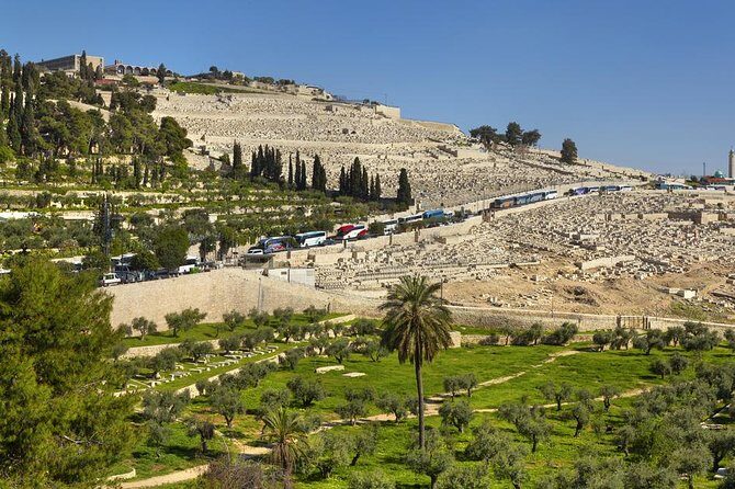 Jerusalem Temple Mount & Dome of the Rock - Authentic Insights from Reviews