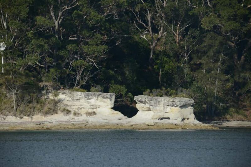 Jervis Bay: 2-Hour Cruise of Jervis Bay Passage - Value and Pricing