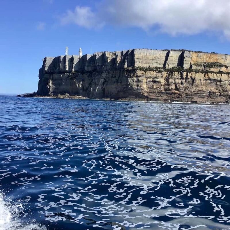 Jervis Bay: 2-Hour Cruise of Jervis Bay Passage - FAQs