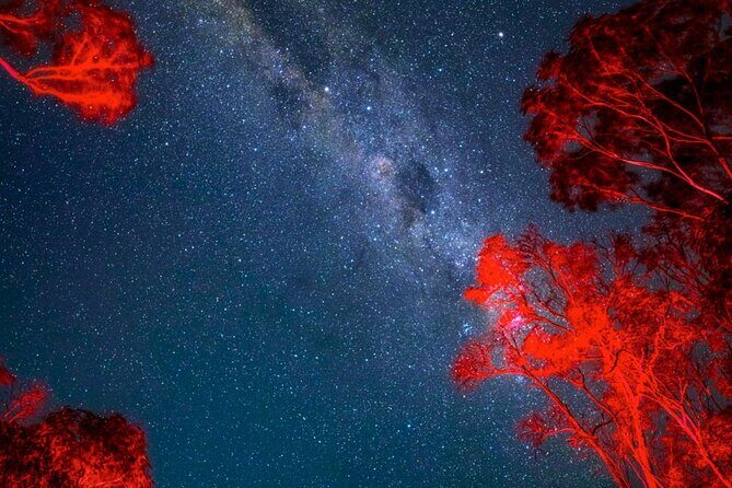 Jervis Bay Beach Stargazing Tour with our Astronomer - Who Will Enjoy This Tour?