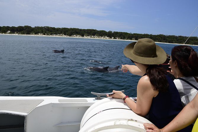 Jervis Bay Dolphin Cruise - What to Expect from the Jervis Bay Dolphin Cruise