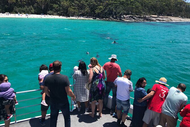 Jervis Bay Dolphin Cruise - Final Thoughts