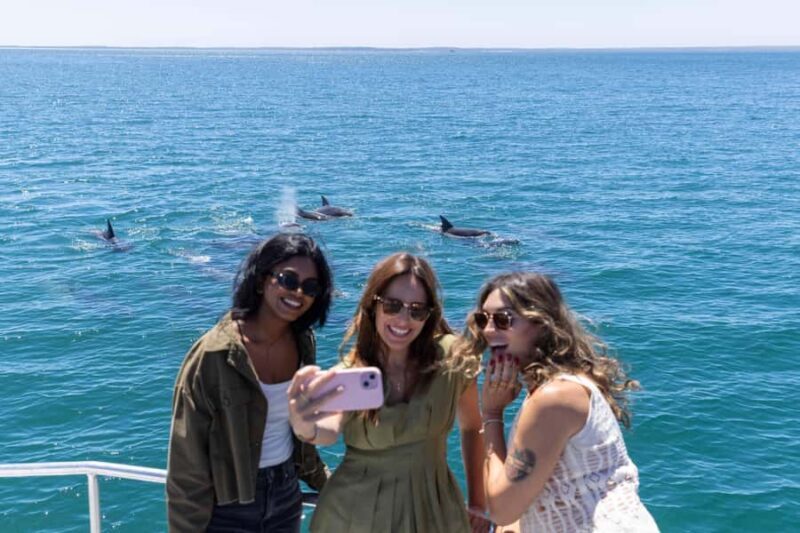 Jervis Bay Dolphin Cruise, Lunch, Berry&Kiama Blowhole Tour - Berry and the Donut Van: A Sweet Stop