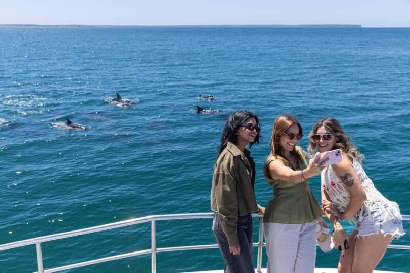 Jervis Bay Dolphin Cruise, Lunch, Berry&Kiama Blowhole Tour - Returning to Sydney: A Long but Rewarding Day