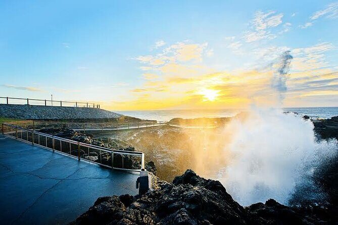 Jervis Bay Full Day Tour Dolphin Cruise and Kiama Blowhole - Price and Value