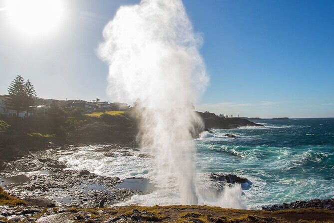 Jervis Bay Full Day Tour Dolphin Cruise and Kiama Blowhole - The Sum Up