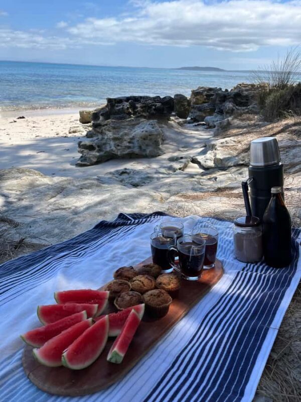 Jervis Bay: Guided Snorkelling Tour with expert guide - Final Thoughts: Why Choose This Snorkelling Tour?