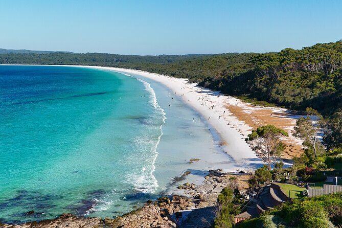 Jervis Bay Highlights Tour  Small Group Experience Scenic Coast - Key Points