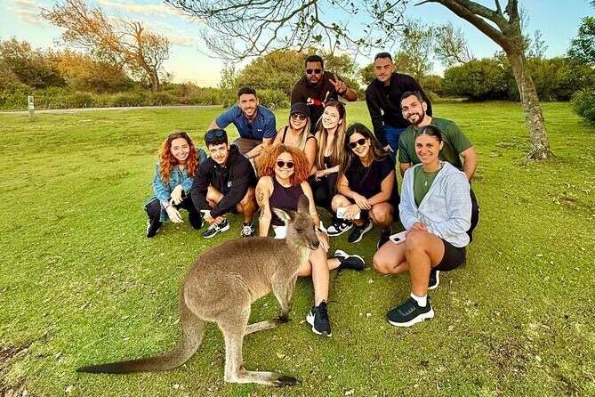 Jervis Bay Highlights Tour  Small Group Experience Scenic Coast - The Experience and Value