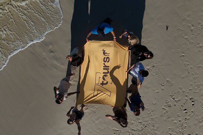 Jervis Bay Highlights Tour  Small Group Experience Scenic Coast - The Sum Up