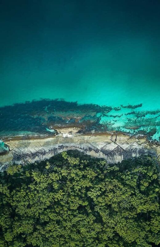 Jervis Bay, Kiama & Kangaroo Valley Day Trip From Sydney-PVT - The Authentic Experience