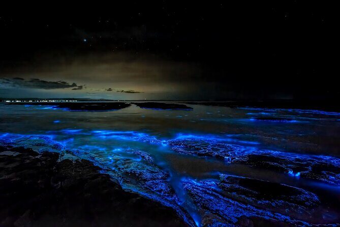 Jervis Bay, Kiama & Kangaroo Valley Day Trip From Sydney-PVT - FAQ