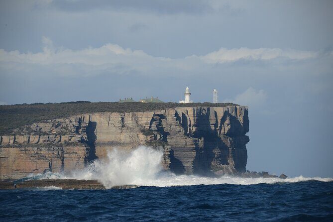 Jervis Bay Passage Tour - Navigating the Itinerary: What You’ll See and Experience