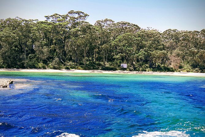 Jervis Bay Passage Tour - The Verdict: Is the Jervis Bay Passage Tour Worth It?