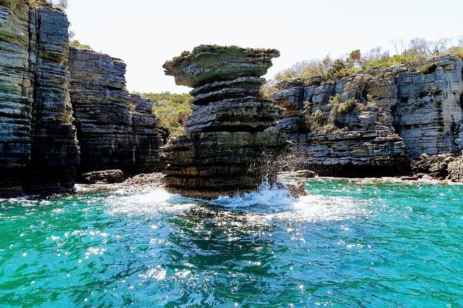 Jervis Bay Passage Tour - Final Thoughts