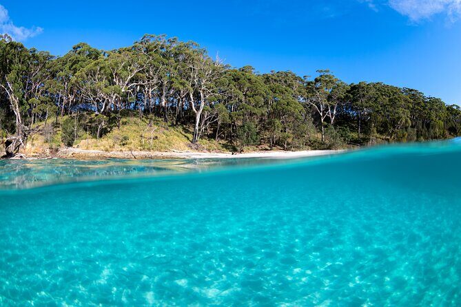 Jervis Bay Private Tour & Pick up & Drop off - Frequently Asked Questions