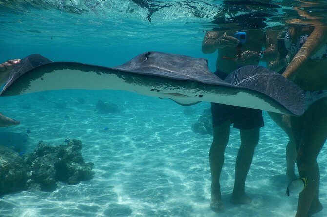 Jet-ski excursion 3 hrs Jet ski excursion to Moorea (single or two-seater) - The Sum Up
