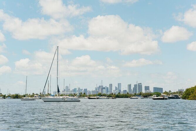 Jet Ski Miami : Experience the Ultimate Water Fun ! - The Breakdown: What to Expect on Your Miami Jet Ski Tour