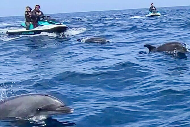 Jetski Adventure: Guided Trip from Long Beach to Catalina Island - Overview of the Jet Ski Tour
