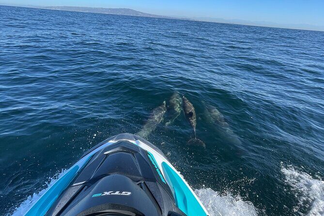 Jetski Adventure: Guided Trip from Long Beach to Catalina Island - The Sum Up