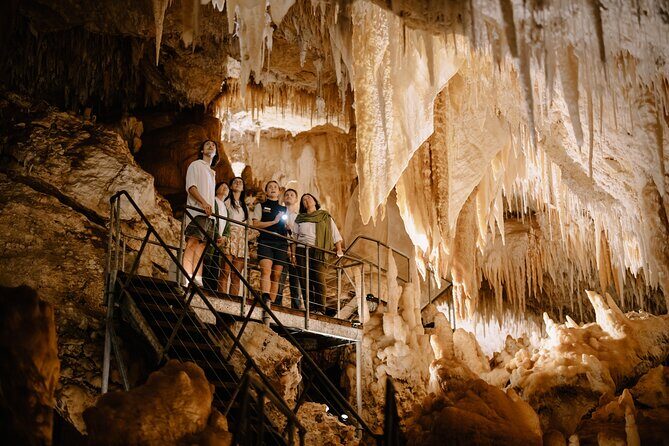 Jewel Cave Fully-guided Tour (Located in Western Australia) - An In-Depth Look at the Jewel Cave Tour