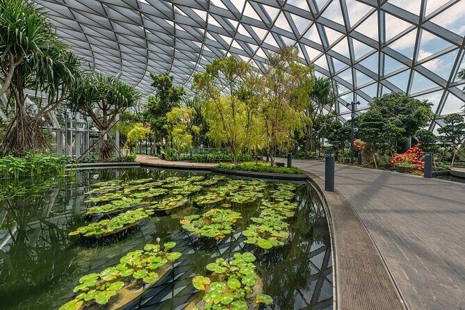 Jewel Changi Airport: Canopy Park Admission Ticket - Practical Details and Tips